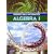 Algebra 1 (Prentice Hall Mathematics)