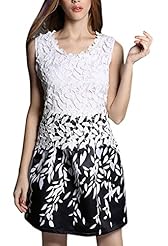 Round Neck Cutout Colorblocking Lace General Print Sleeveless Evening Dress/Wedding Party Dress 