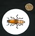 3 button / pin printed with bug, insect, yellow, termite, soldier