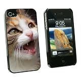 Graphics and More Tabby Kitten Cat Meow - Snap On Hard Protective Case for Apple iPhone 4 4S - Black - Carrying Case - Non-Retail Packaging - Black