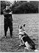 A Metropolitan Police Dog Handler Giving His Dog Obedience Training Photographic Poster Print, 18x24