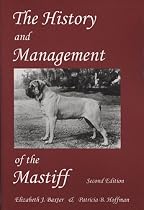 The History And Management Of The Mastiff