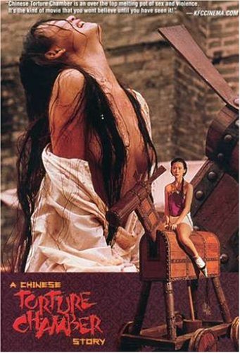 A Chinese Torture Chamber Story