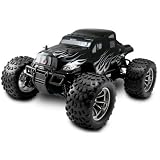 Buy 1:10 Scale Nitro Gas Car Radio Remote Control Rc Off-road Monster Truck by Redcat Racing