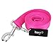 ITERY Dog Leash, Pet Durable Leash Strap for Puppy Pet Leash Rope 6-feet Long 1” Wide (Hot Pink)