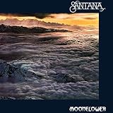 Moonflower [12 inch Analog]