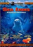 Sea Lions: A California Adventure