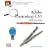 Adobe Photoshop CS3 One-On-One