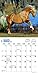 Horse Lovers 2017 Calendar