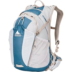 Amazon.com : Gregory Women's Maya 18L Da