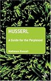 Husserl: A Guide for the Perplexed (Guides for the Perplexed)