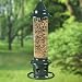 Brome 1024 Squirrel Buster Plus Wild Bird Feeder with Cardinal Perch Ring