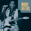 King of the Electric Blues