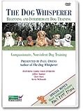 The Dog Whisperer: Beginning and Intermediate Dog Training