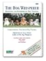 The Dog Whisperer: Beginning and Intermediate Dog Training