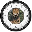 Male Lion Standing (JP6) Wall Clock by WatchBuddy Timepieces (Black Frame)