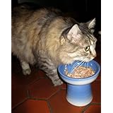 Classy Cat and Dog Raised Stoneware Hard Food or Water Bowl - Blue