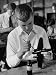 Student Working on Model Airplane in Response to the Navy's Call for Boys to Build 500,000 Models Photographic Poster Print by Alfred Eisenstaedt, 30x40