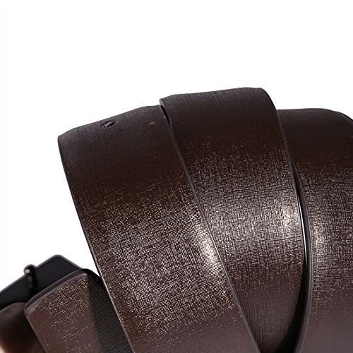 Calvin Klein Belt Brown (Free size, Brown)