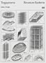 Structure Systems