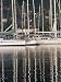 Pleasure Boat Harbour, Victoria, North East Coast, Island of Mahe, Seychelles, Indian Ocean, Africa Photographic Poster Print by Bruno Barbier, 9x12