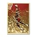 Chicago Bulls Michael Jordan Chicago Bulls Silkscreen Print Autographed by Artist Shepard Fairey