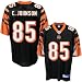Brett Favre Jersey: Reebok White Replica #4 Green Bay Packers Jersey