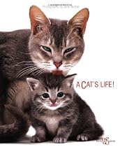 Cat's Life