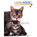 Cat's Life
