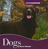 Cover for 9780761439707