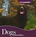 cover image for 9780761439707