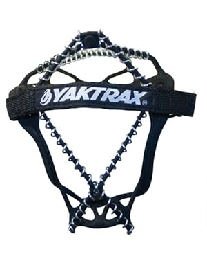 Fell down the back steps (again.....) - Homesteading Questions