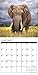Elephants 2017 Wall Calendar