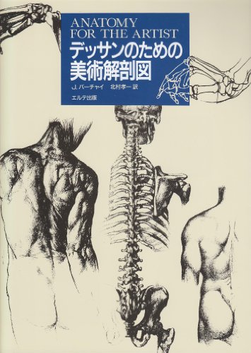 デッサンのための美術解剖図