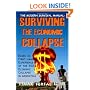 The Modern Survival Manual: Surviving the Economic Collapse