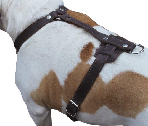 Genuine Leather Dog Harness, 37"-45" Chest, 1" Wide Straps. XXLarge. Newfoundland, Mastiff