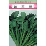 鲤ȼ��դ򿩤٤�ڤβ�!Ŧ�ڲ� ����:10ml