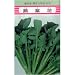 蕾と若葉を食べる菜の花!摘菜花 数量:10ml