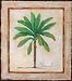 Banana Palm Art Poster PRINT Adriana 12x12