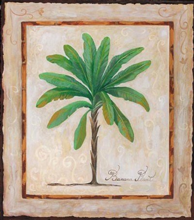 Banana Palm Art Poster PRINT Adriana 12x12