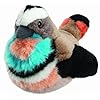 Amazon.com: Rspb Hoopoe with Real Bird Calls Plush 5"/13cm - Plush