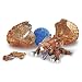 Mega Bloks Plasma Hatchers - Dino
