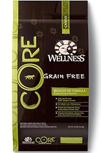 Wellness CORE Natural Grain Free Dry Dog Food, Reduced Fat Weight Management Turkey & Chicken Recipe, 26-Pound Bag