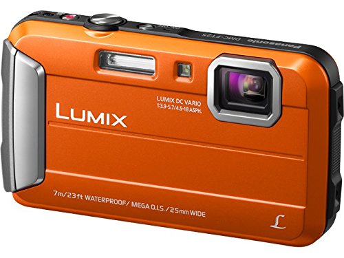 Panasonic DMC-TS25D Waterproof Digital Photo