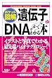 ポケット図解 遺伝子とDNAがよーくわかる本