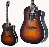FENDER T-BUCKET 300CE-FT/3TS GARM^[