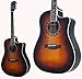 FENDER T-BUCKET 300CE-FT/3TS GARM^[