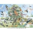 Birds Jigsaw Puzzle 1000pc