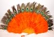 Orange Marabou Feather Fan with Peacock Tips