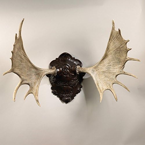 Oklahoma Casting Moose Horns Wall Art